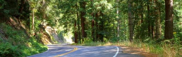 inglês em Forest Grove com Language International